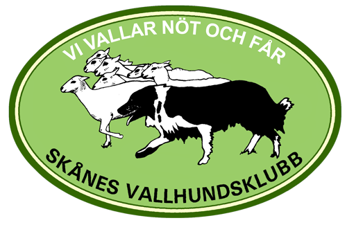 Vi vallar nöt och får